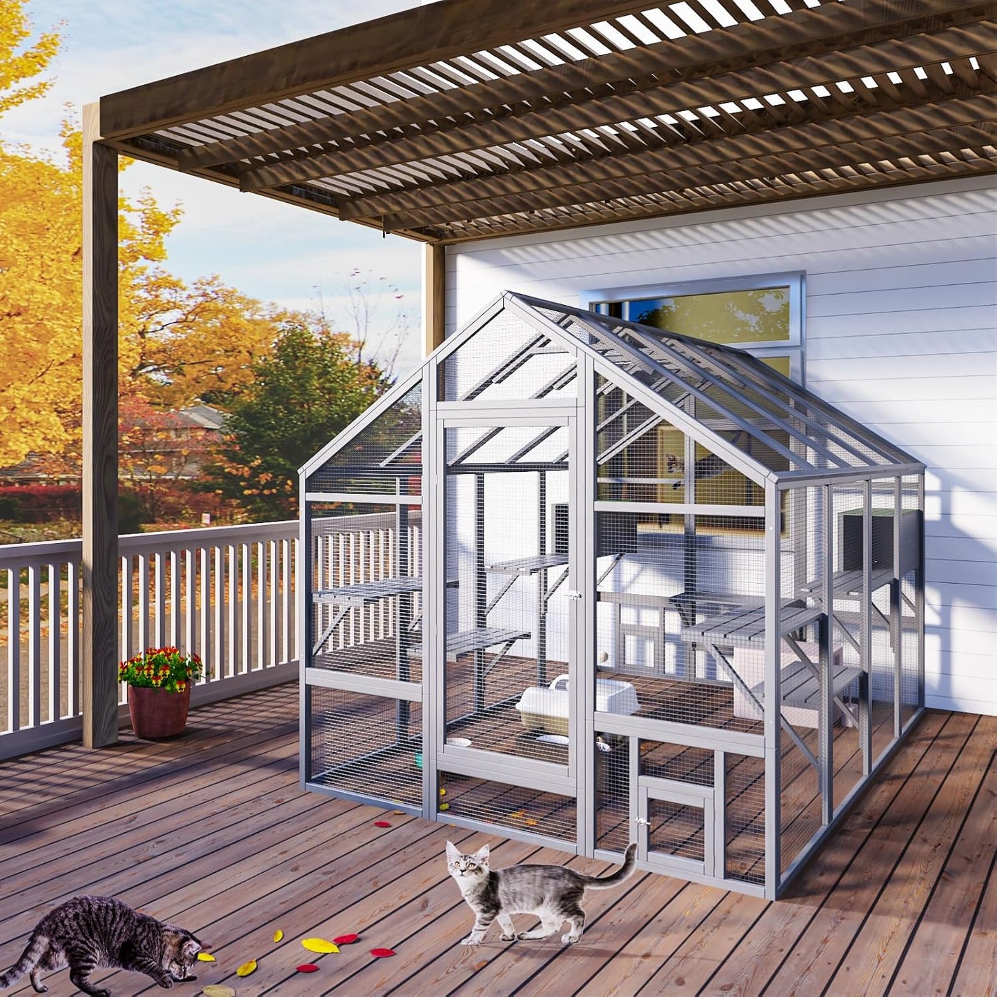 Cat Enclosure for Multiple Cats - Image 7