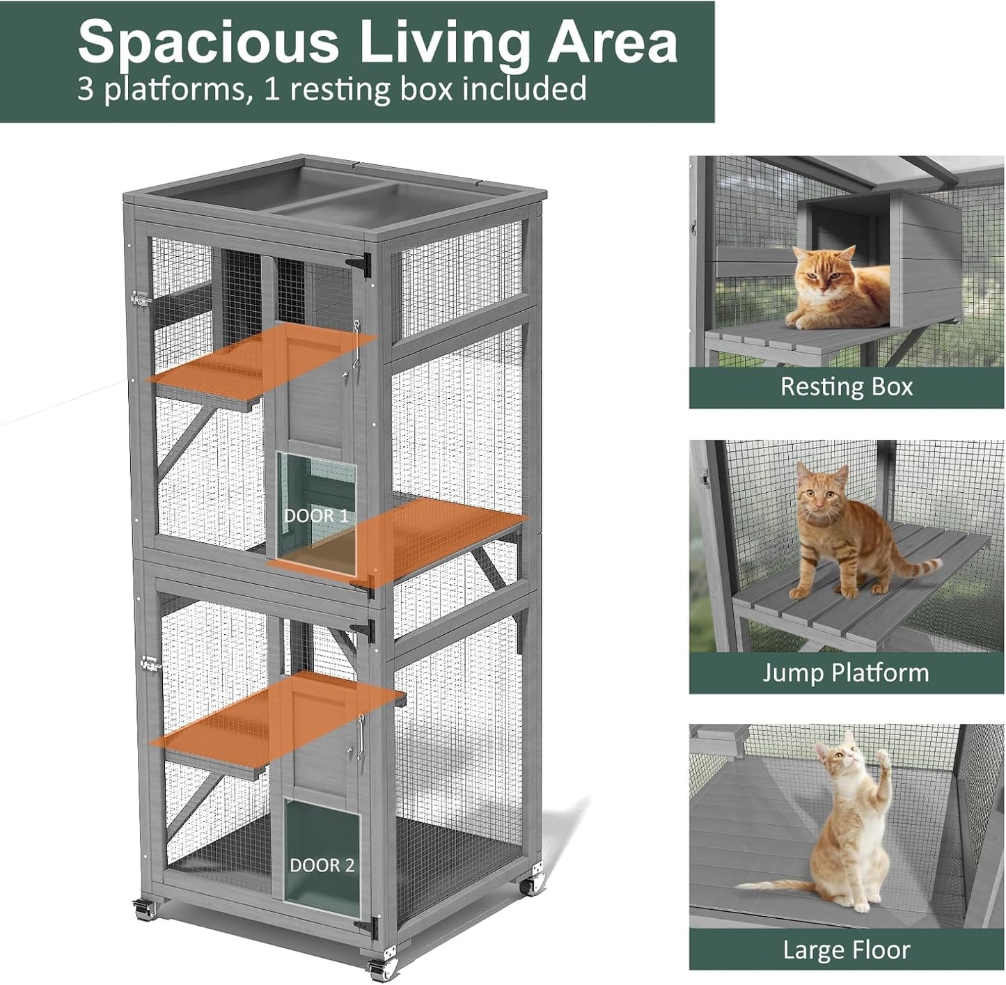 CAT HOUSE A06 | CASA PARA GATOS A06