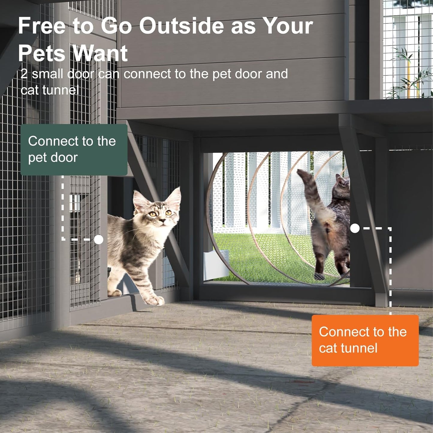 CAT HOUSE A03 | CASA PARA GATOS A03