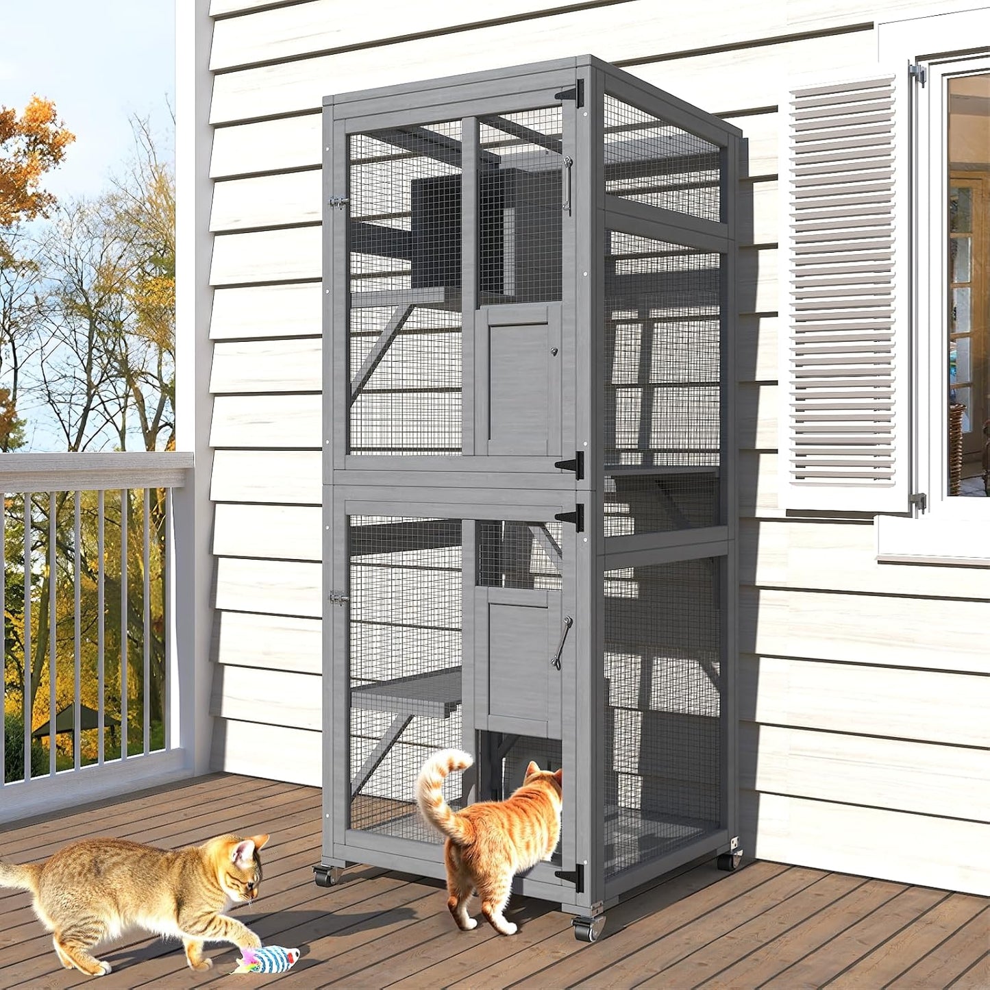 CAT HOUSE A06 | CASA PARA GATOS A06