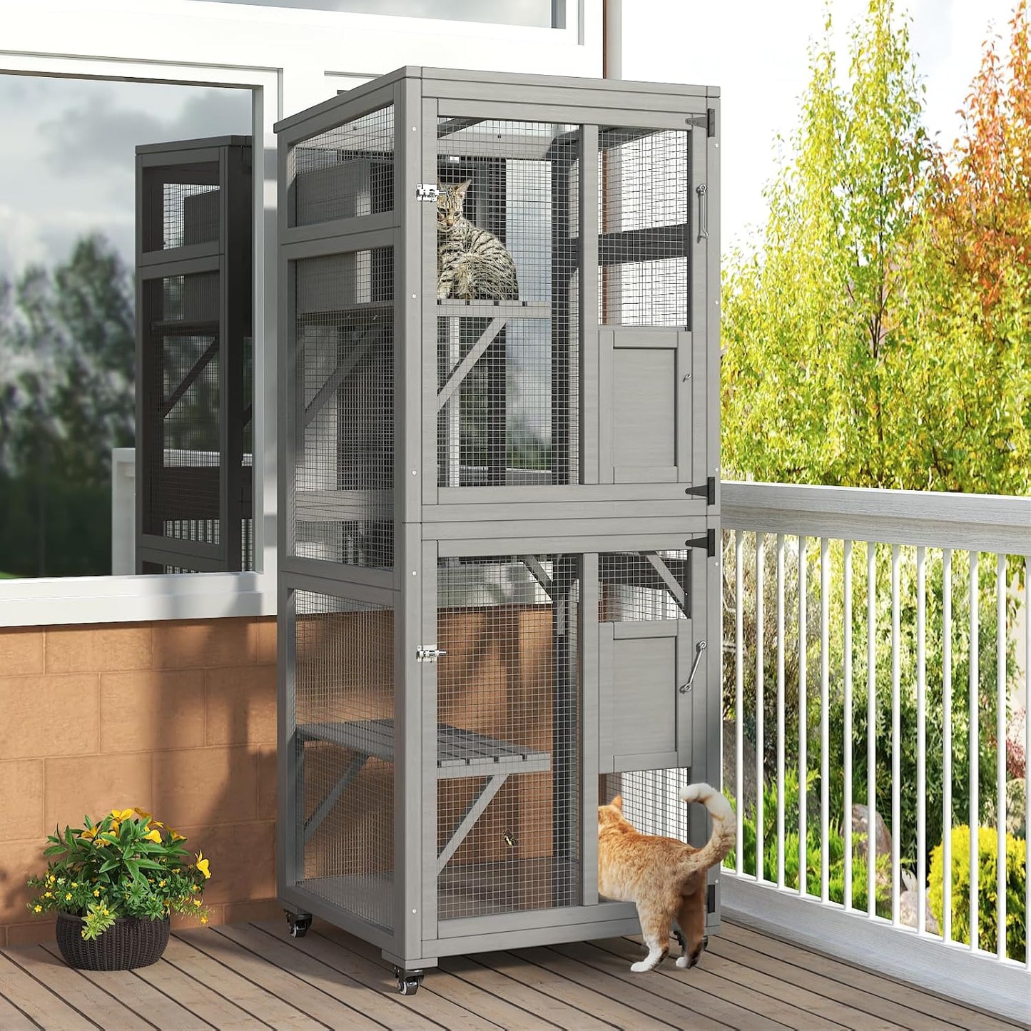CAT HOUSE A04 | CASA PARA GATOS A04