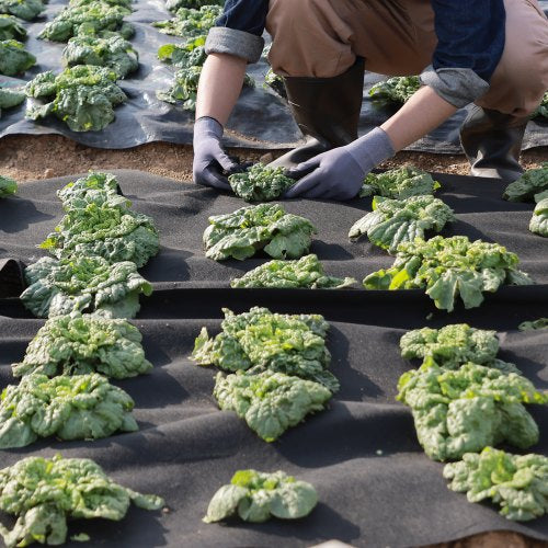 Non-Woven Geotextile Fabric 10x100FT 8OZ Ground Cover Weed Control Fabric - Image 9