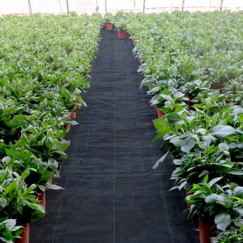 Premium Weed Barrier Fabric 6.5x300FT - Image 7
