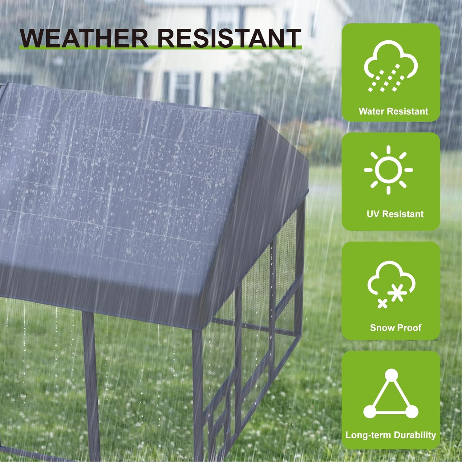 Chicken Coop for 10-12 Chickens - Image 4