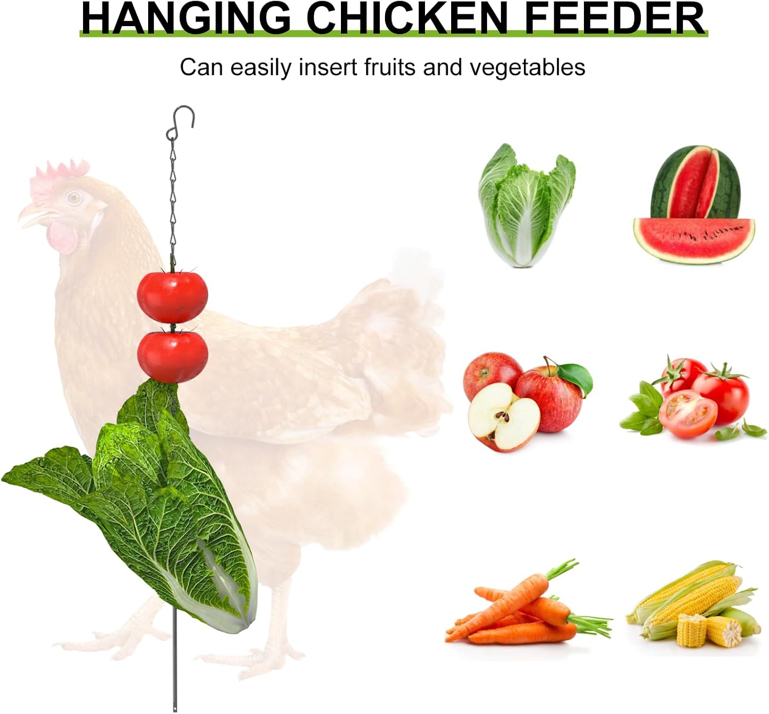 Chicken Coop for 10-12 Chickens - Image 3