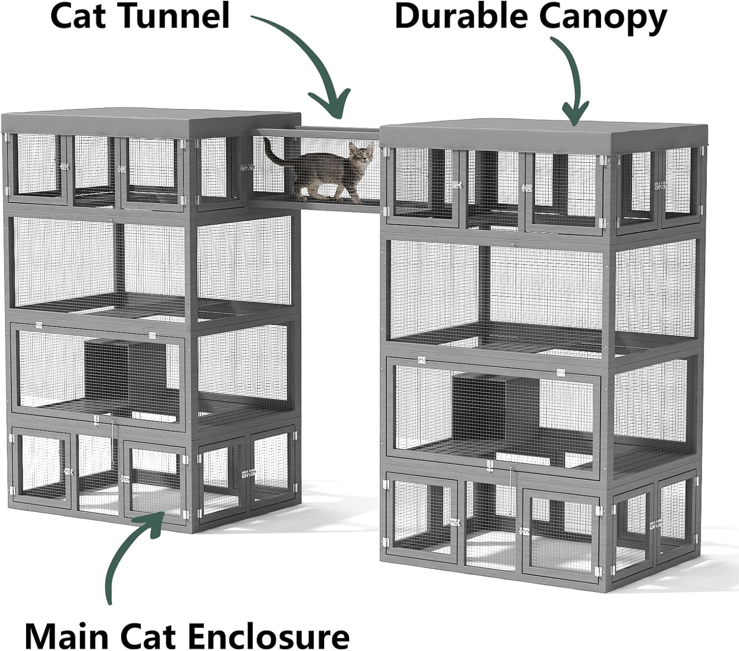 Cathouse Tunnel - Image 2