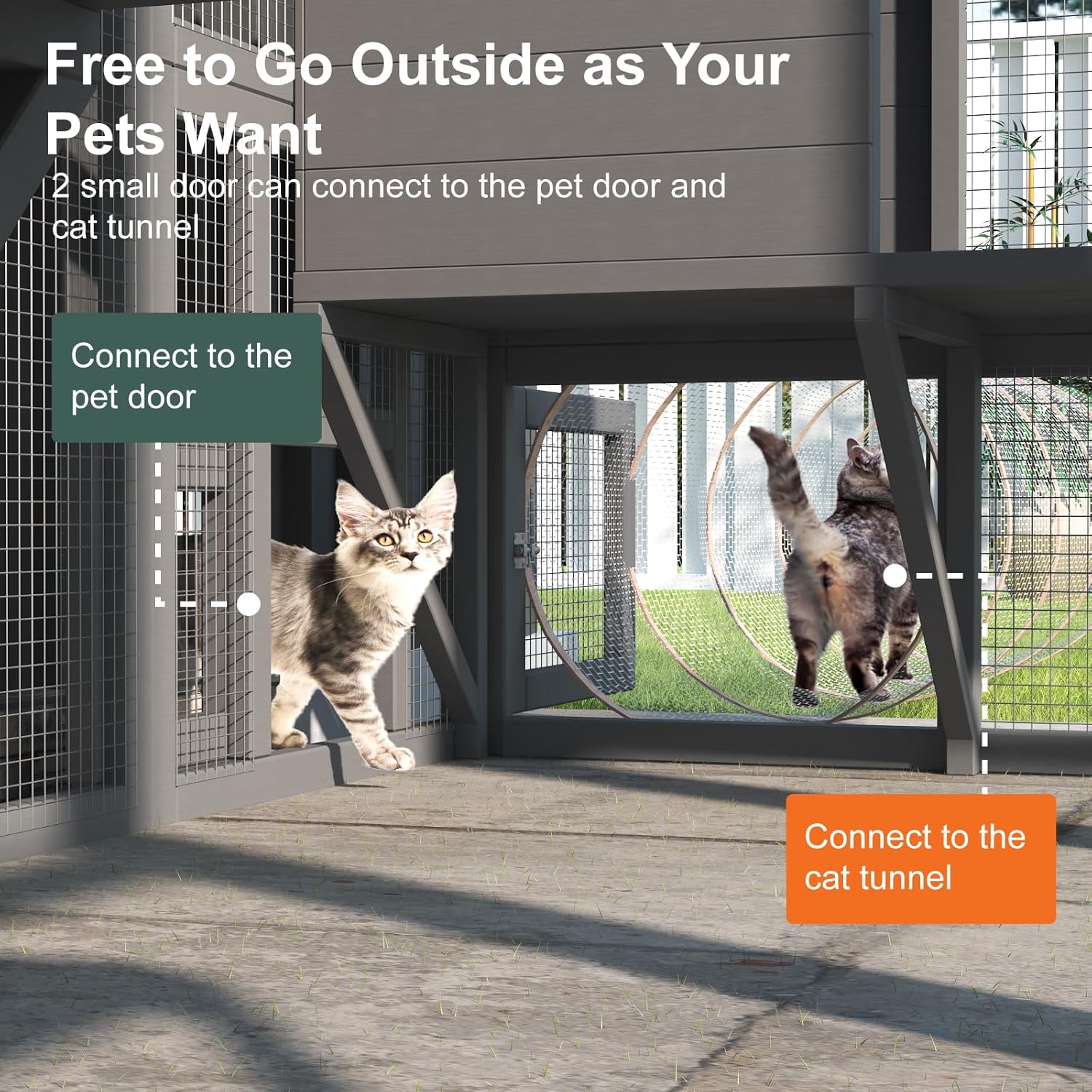 Catio Outdoor Cat Enclosure - Image 3
