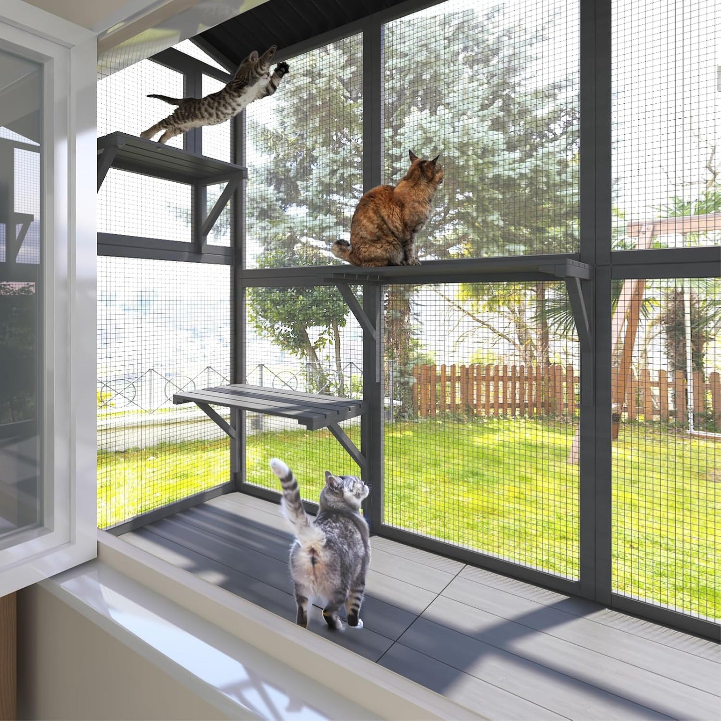 Cat Catio, Window Catio for Multiple Indoor Cats with 4 Jump Platforms - Image 6