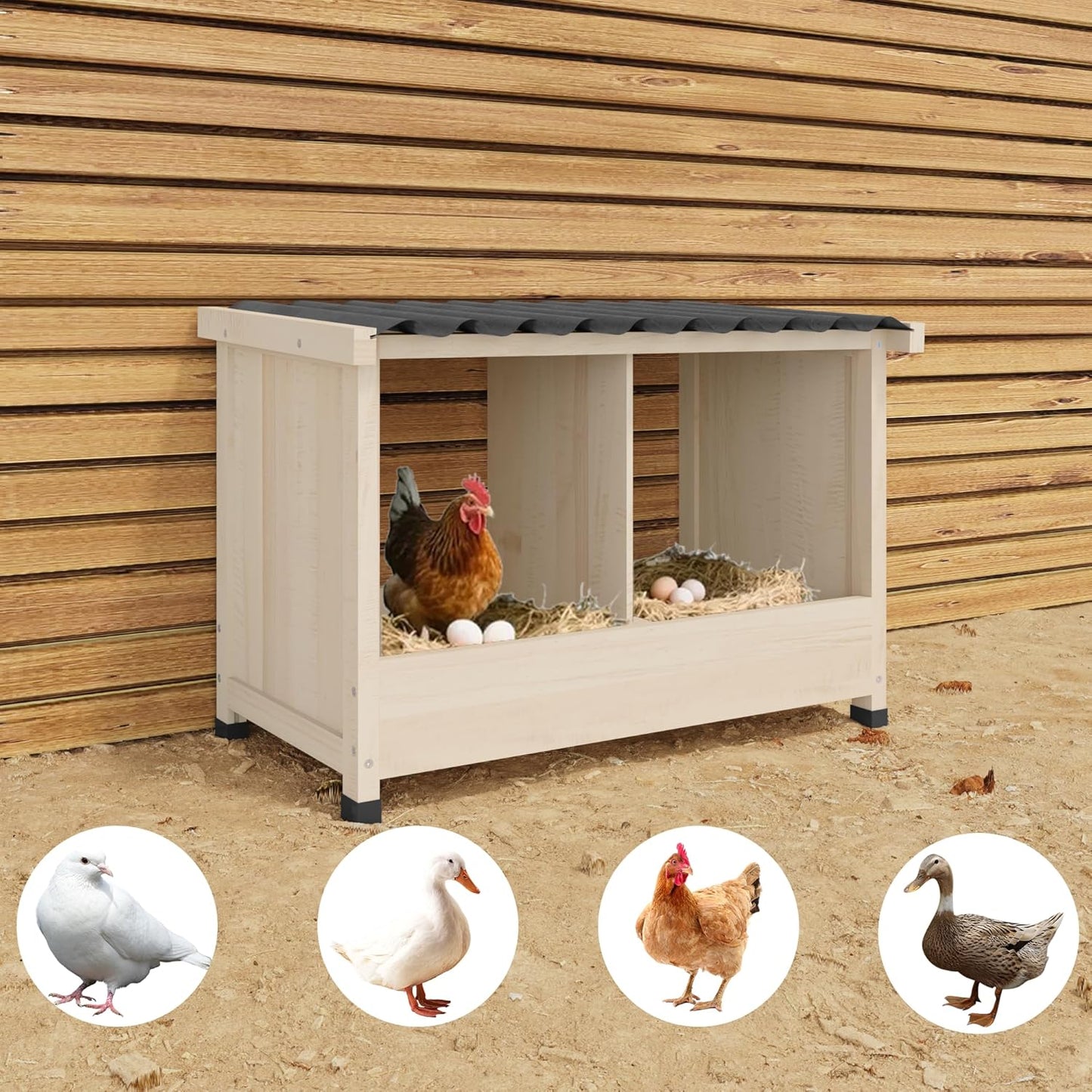 Chicken Nesting Box, 2 Holes Wooden Nesting Box - Image 7