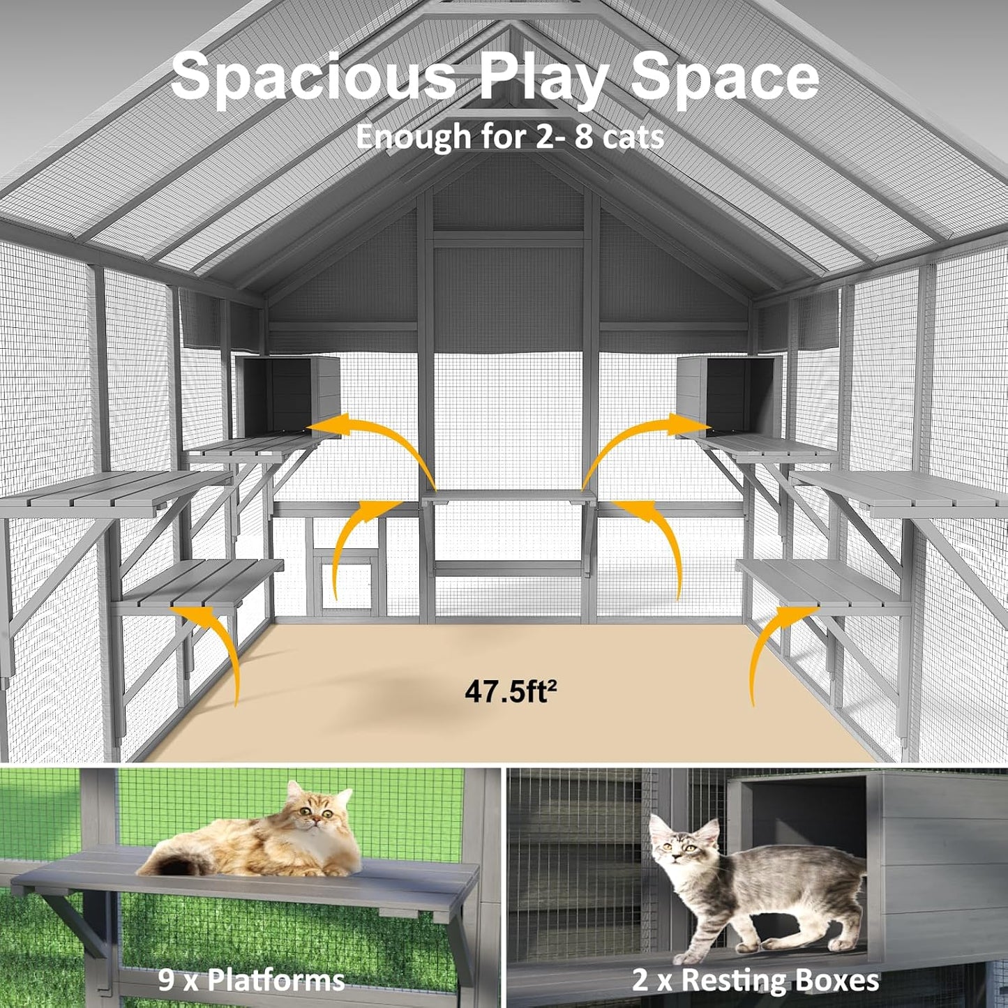  Cat Enclosure for Multiple Cats - Image 2
