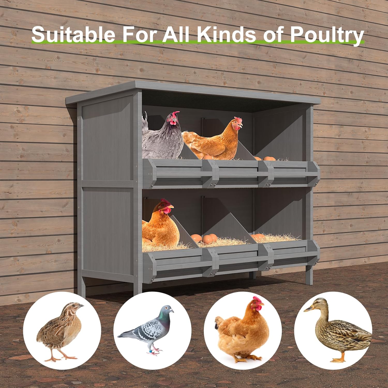2-Tier Nesting Boxes for Chickens, 6-Compartment, Wooden Chicken Nesting Box for Laying Eggs - Image 8
