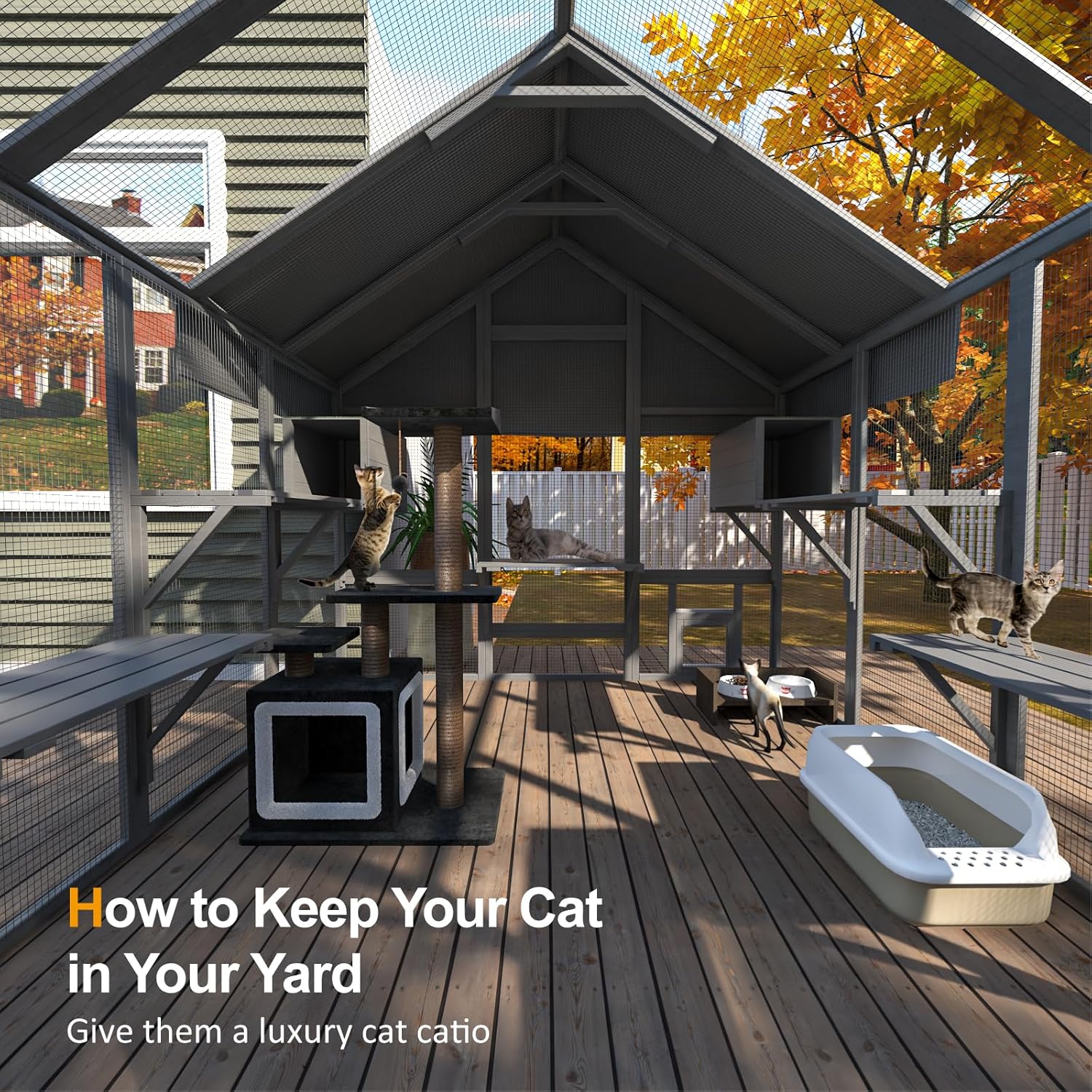  Cat Enclosure for Multiple Cats - Image 6