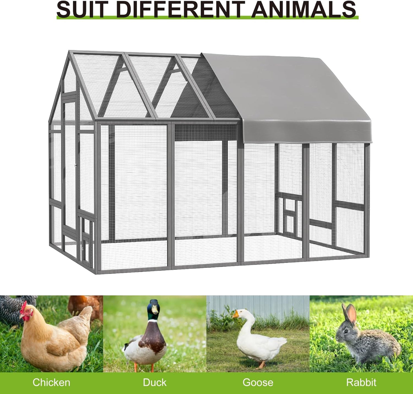 Chicken Coop for 10-12 Chickens - Image 8