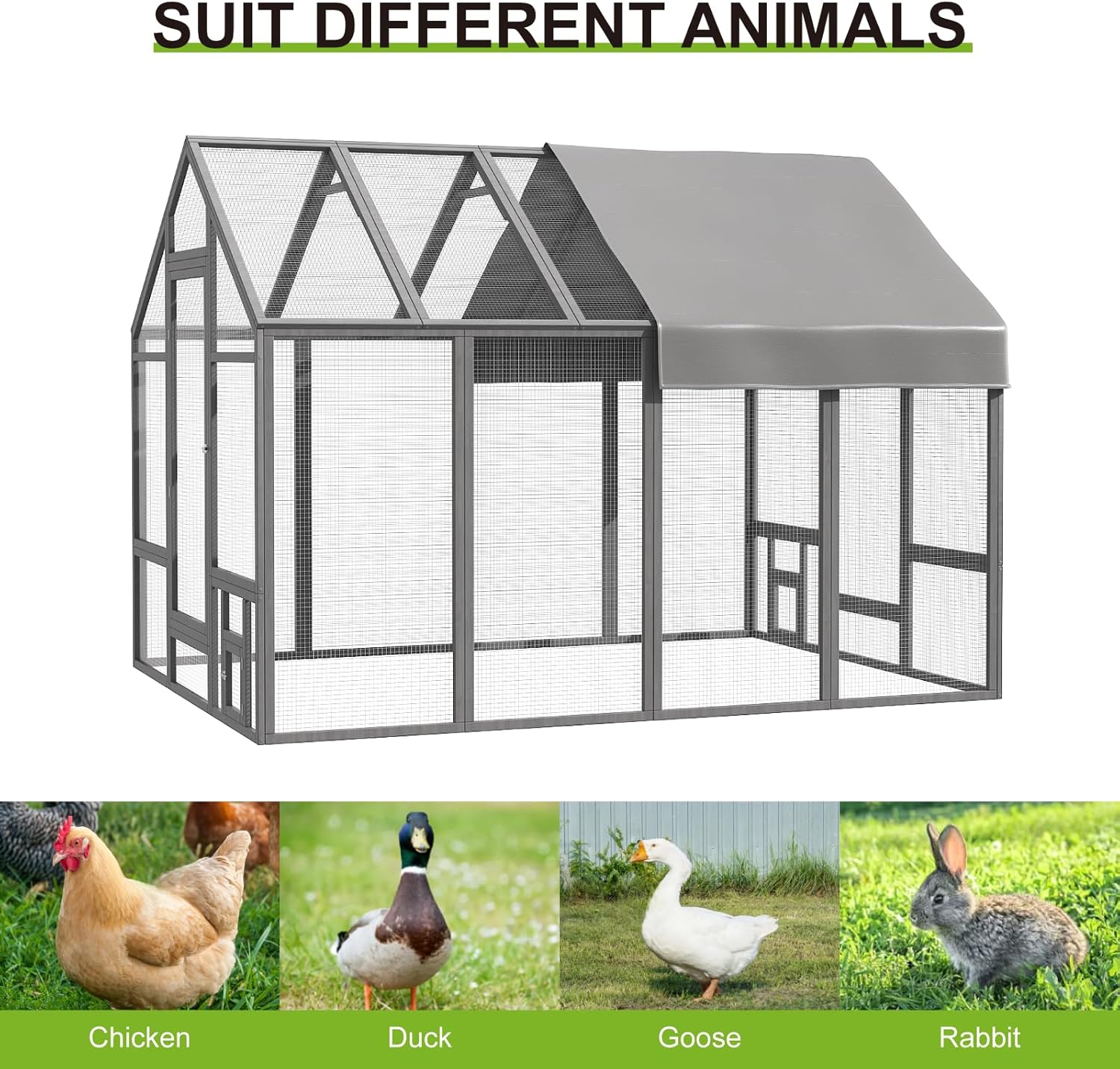 Chicken Coop for 10-12 Chickens - Image 8