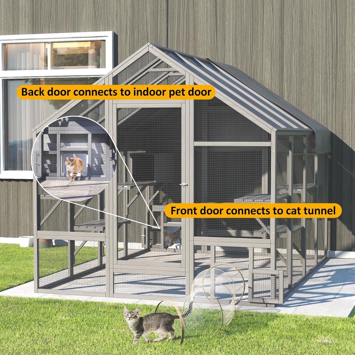  Cat Enclosure for Multiple Cats - Image 4