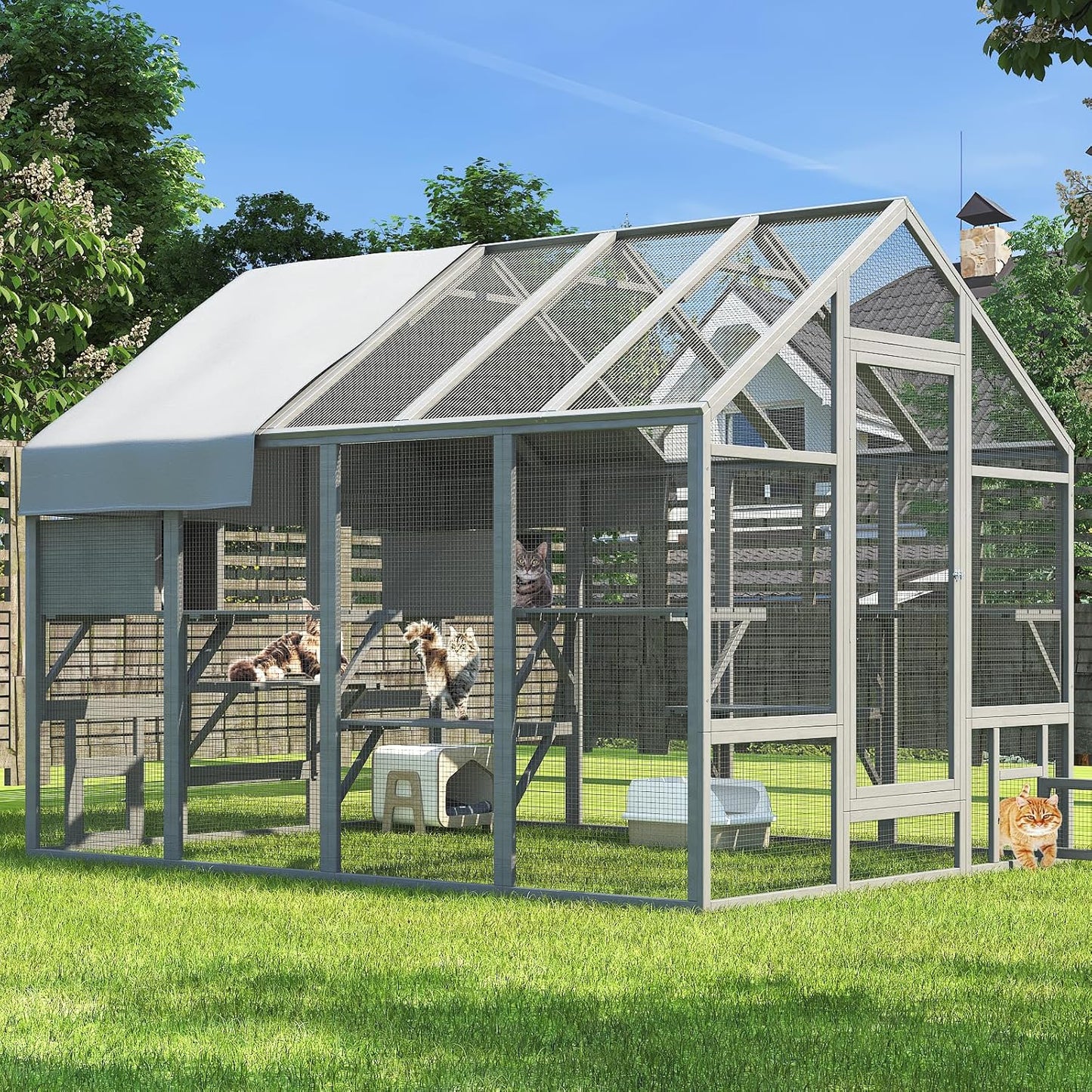  Cat Enclosure for Multiple Cats - Image 1