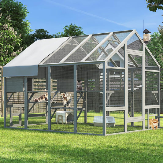  Cat Enclosure for Multiple Cats - Image 1