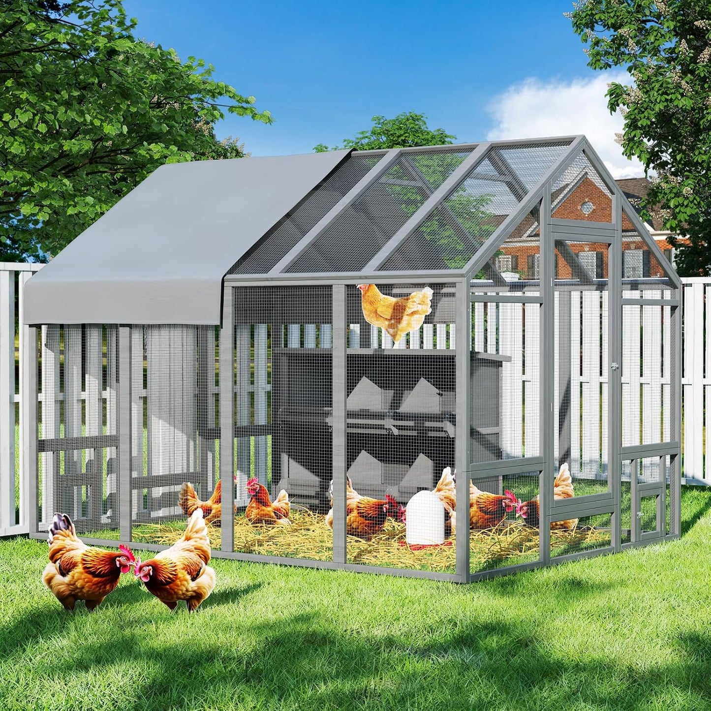 Chicken House for Outside Farm Backyard - Image 9
