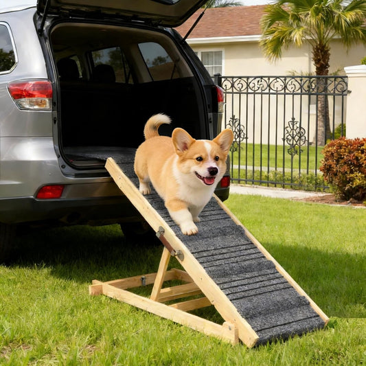 Wooden Folding Dog Ramp - Image 1